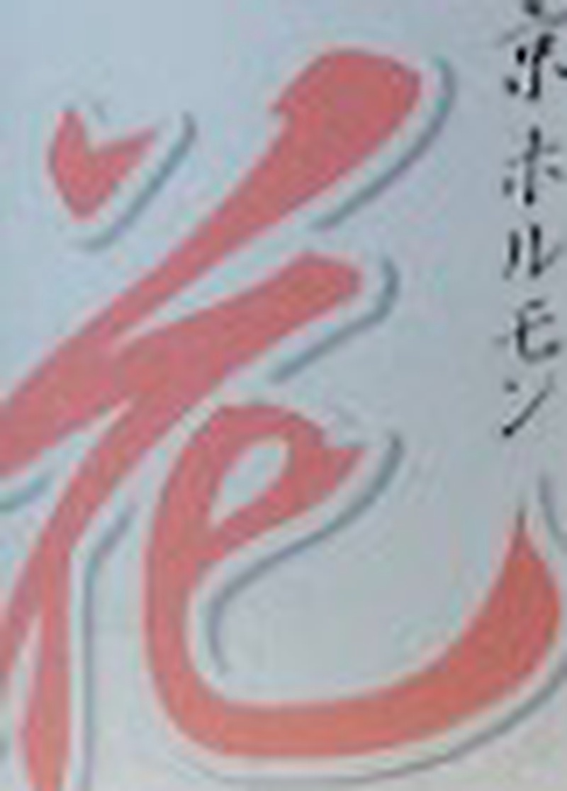 京ホルモン花 秘密基地