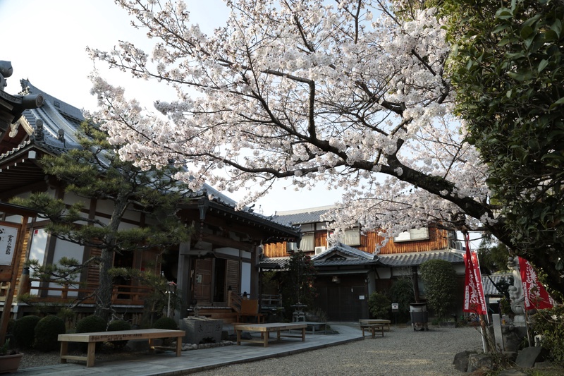 法華寺