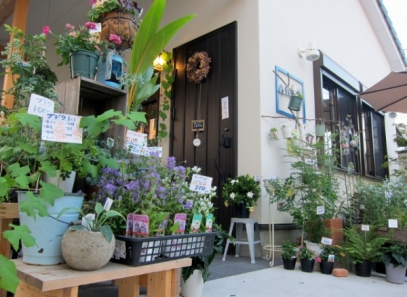 花屋　ANZZI